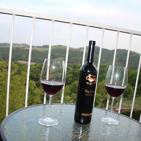 Gabriela Sankt Nikolai im Sausal