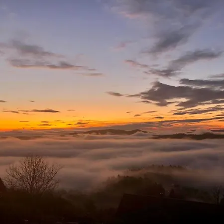 Gabriela * Sankt Nikolai im Sausal